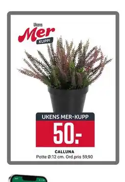 Europris CALLUNA, App-pris tilbud