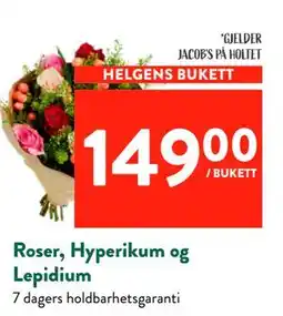 Jacobs Roser, Hyperikum og Lepidium tilbud