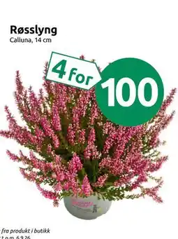 Joker Røsslyng tilbud