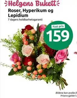 Joker Roser, Hyperikum og Lepidium tilbud