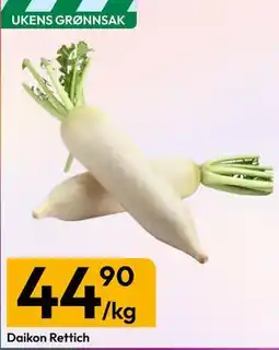 Gigaboks Daikon Rettich tilbud