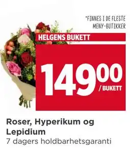 Meny Roser, Hyperikum og Lepidium tilbud