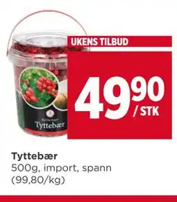 Meny Tyttebær tilbud
