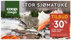 Coop Mega STORT UTVALG FERSK FISK tilbud