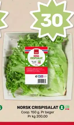 Coop Marked NORSK CRISPISALAT tilbud