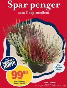 Coop Marked LYNG - QUATRO, Medlemspris tilbud
