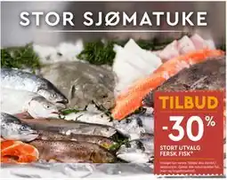Coop Mega STORT UTVALG FERSK FISK tilbud