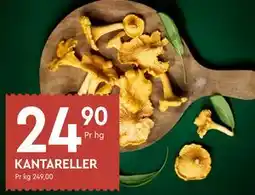 Coop Mega KANTARELLER tilbud