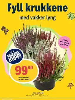 Coop Prix LYNG - QUATRO, Medlemspris tilbud