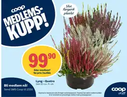 Coop Extra Coop Lyng - Quatro tilbud