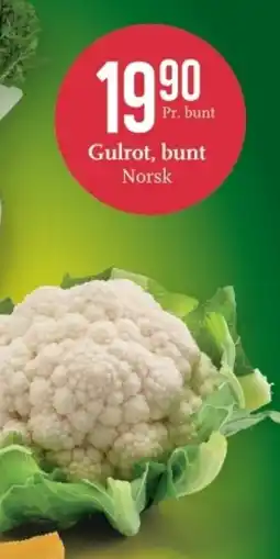 CC Mat Gulrot tilbud