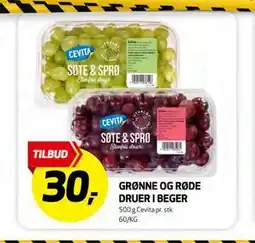 Bunnpris GRØNNE OG RØDE DRUER I BEGER tilbud