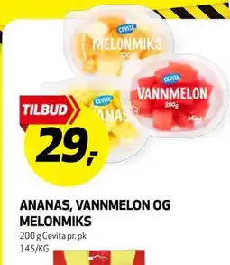 Bunnpris ANANAS, VANNMELON OG MELONMIKS tilbud