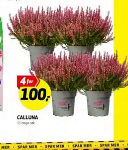 Bunnpris CALLUNA tilbud