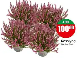 Spar Røsslyng Garden Girls tilbud