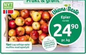 Epler