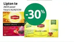 Joker Lipton te tilbud
