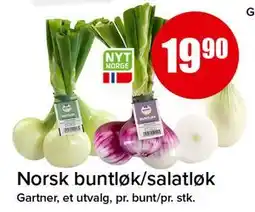 Spar Norsk buntløk/salatløk tilbud