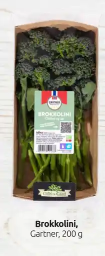 Joker Brokkolini tilbud