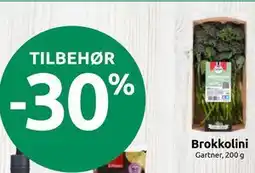 Joker Brokkolini tilbud