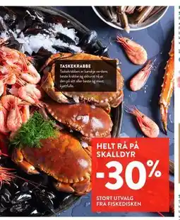 Jacobs HELT RÅ PÅ SKALLDYR tilbud