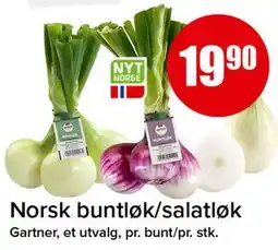 Spar Norsk buntløk/salatløk tilbud
