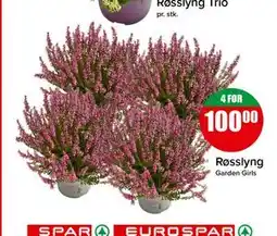 Spar Røsslyng tilbud