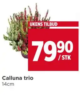 Meny Calluna trio tilbud