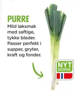 Meny PURRE tilbud