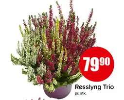 Eurospar Røsslyng Trio tilbud