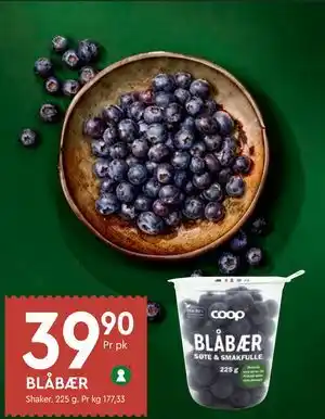 BLÅBÆR