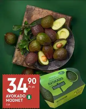 AVOKADO MODNET