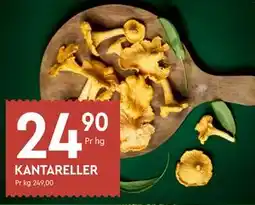 Coop Mega KANTARELLER tilbud