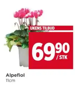 Meny Alpefiol tilbud