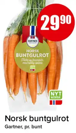 Spar Gartner norsk buntgulrot tilbud