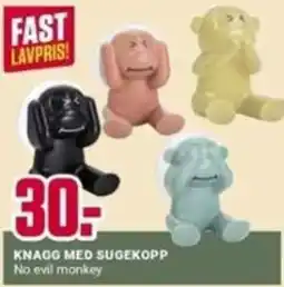Europris Knago med sugekopp tilbud