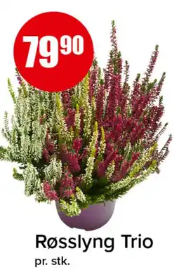Spar Røsslyng Trio tilbud
