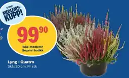 Coop Obs Lyng - Quatro tilbud