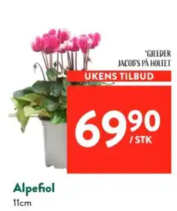 Jacobs Alpefiol tilbud