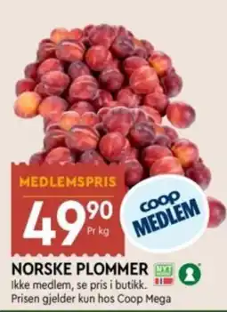 Coop Mega Plommer tilbud