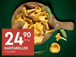 Coop Mega Kantareller tilbud