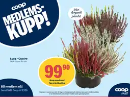 Coop Extra Coop Lyng - Quatro tilbud