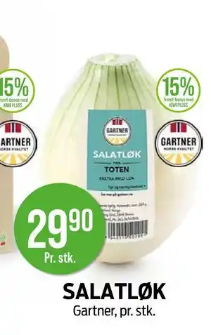 Kiwi SALATLØK tilbud