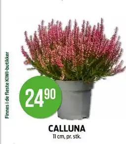 Kiwi CALLUNA tilbud