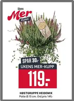 Europris HØSTGRUPPE HEIDEMIX tilbud