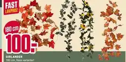 Europris GIRLANDER tilbud