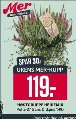 Europris HØSTGRUPPE HEIDEMIX, App-pris tilbud