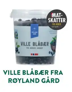 Jacobs VILLE BLÅBÆR FRA RØYLAND GÅRD tilbud