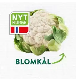 Jacobs BLOMKÅL tilbud