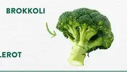 Jacobs BROKKOLI tilbud